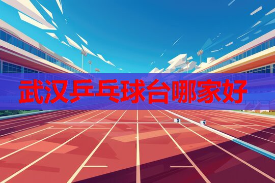 武汉乒乓球台哪家好