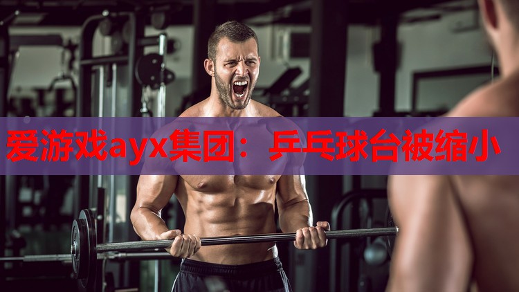 爱游戏ayx集团：乒乓球台被缩小