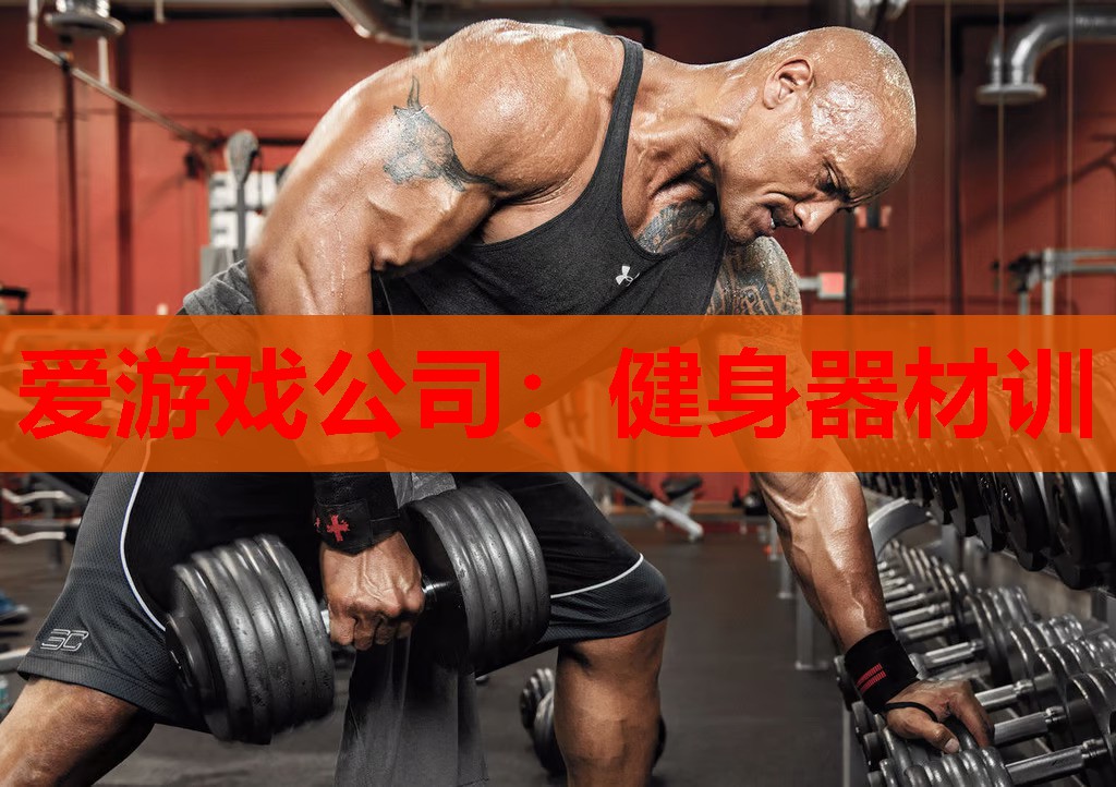 爱游戏公司：健身器材训