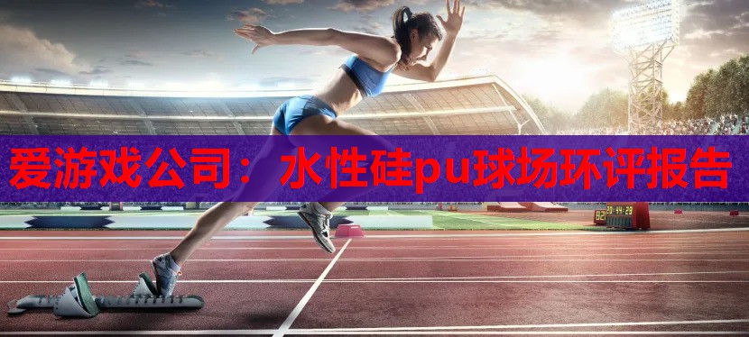 爱游戏公司：水性硅pu球场环评报告