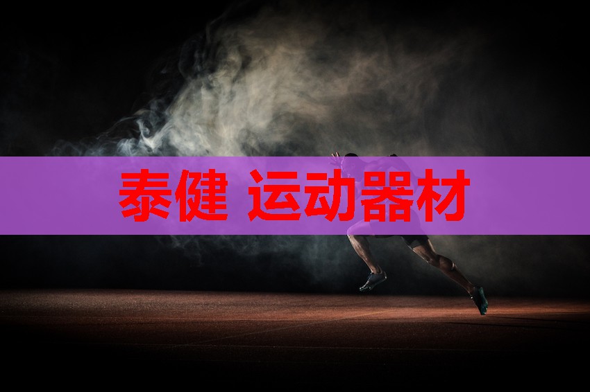 泰健 运动器材