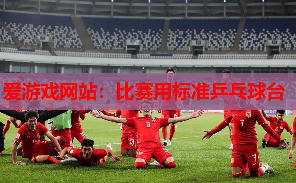 爱游戏网站：比赛用标准乒乓球台