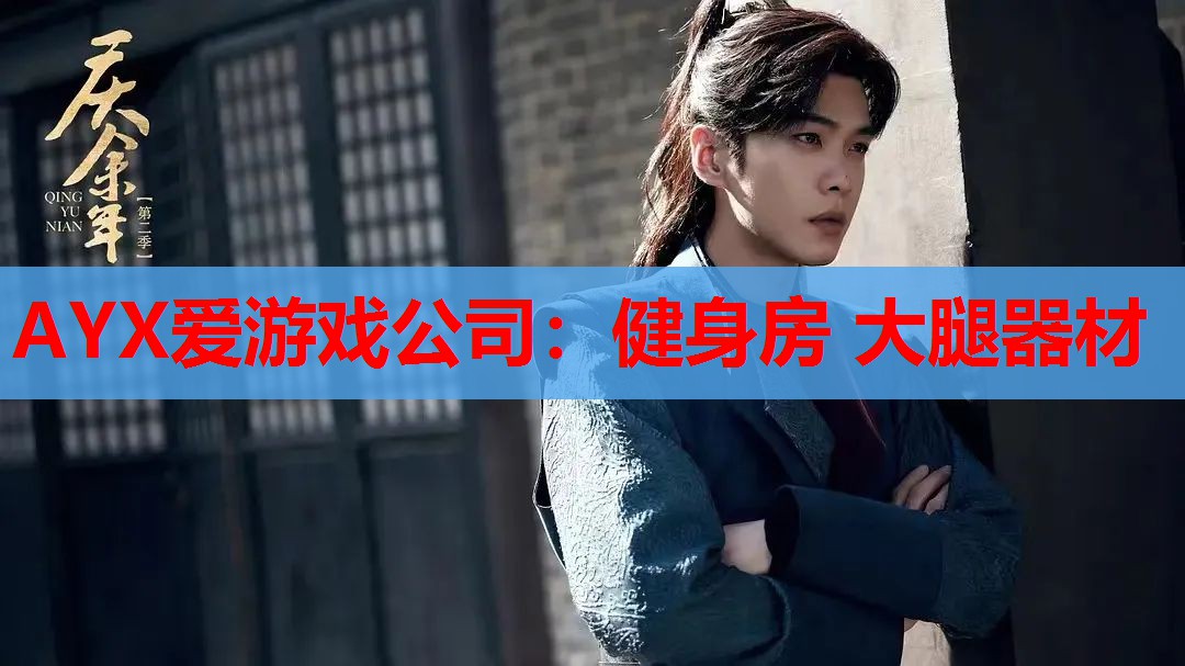 AYX爱游戏公司：健身房 大腿器材