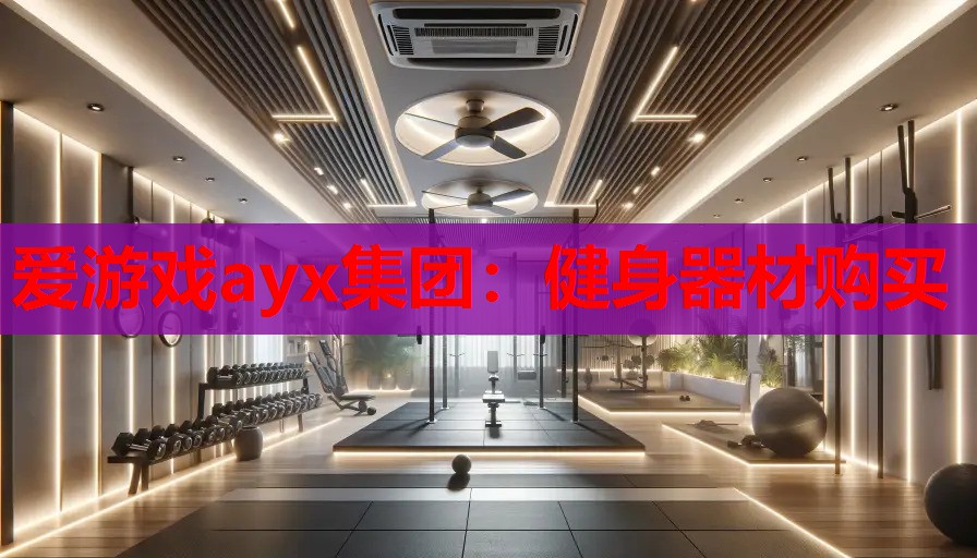 爱游戏ayx集团：健身器材购买
