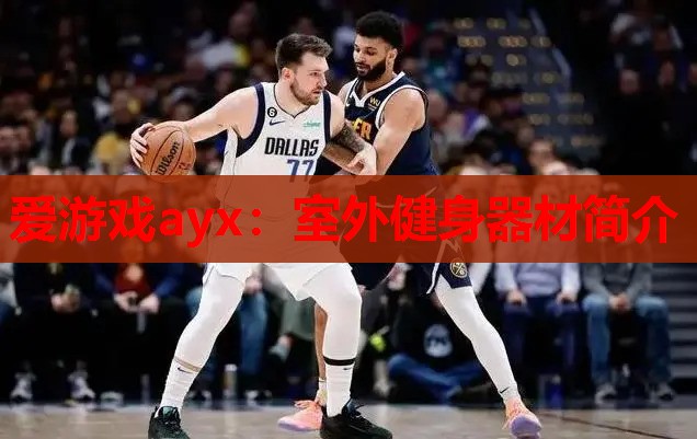 爱游戏ayx：室外健身器材简介