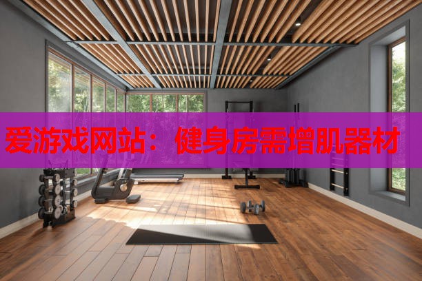 爱游戏网站：健身房需增肌器材