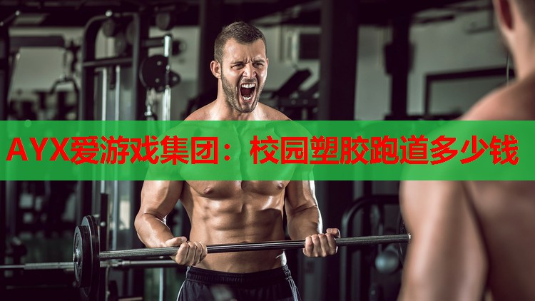 AYX爱游戏集团：校园塑胶跑道多少钱