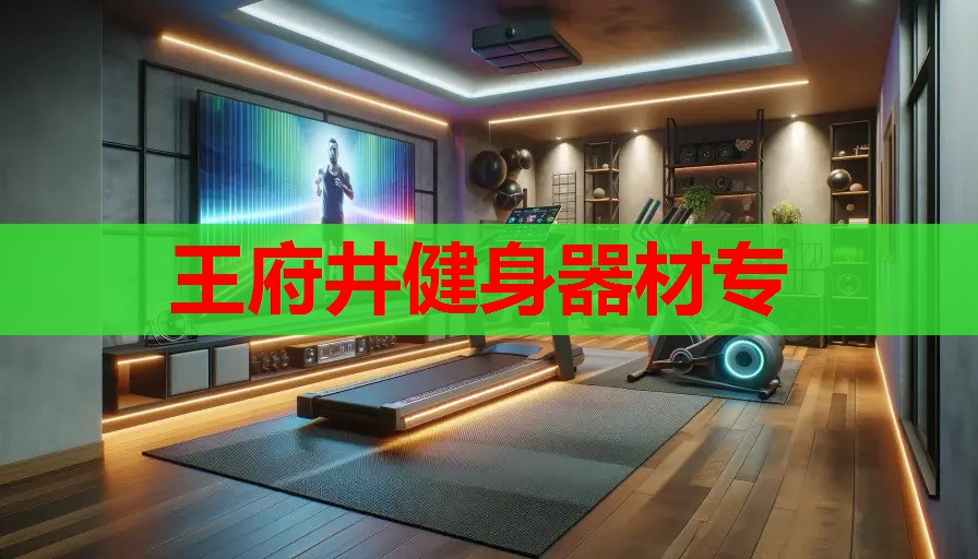 王府井健身器材专