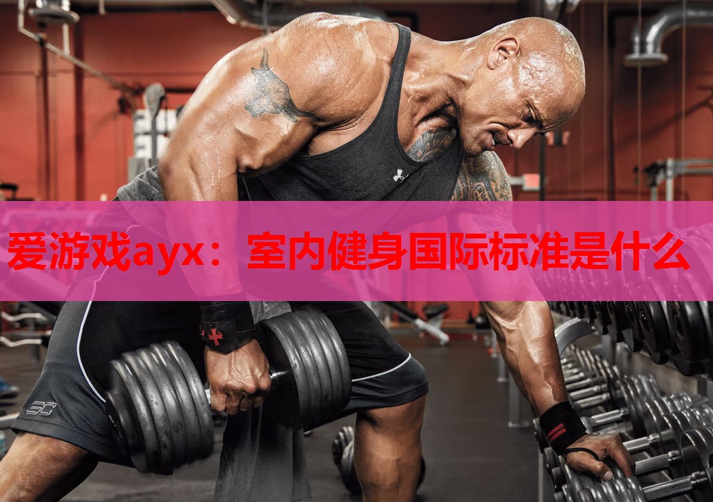 爱游戏ayx：室内健身国际标准是什么