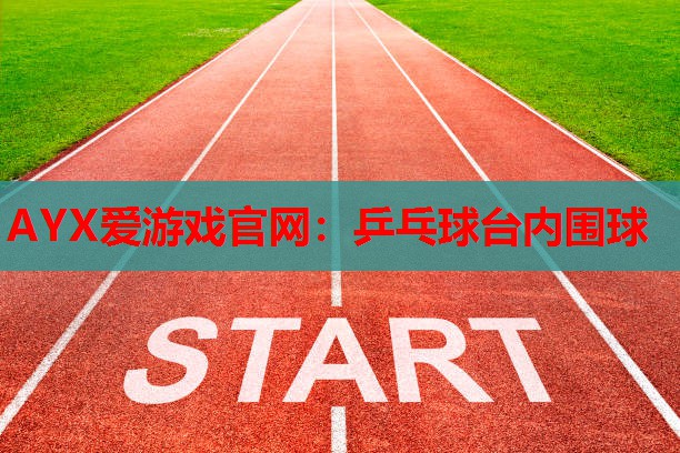 AYX爱游戏官网：乒乓球台内围球