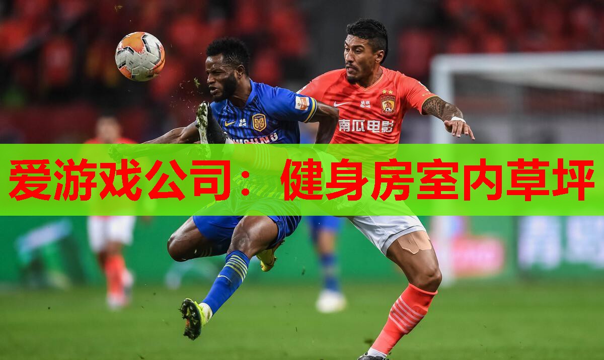 爱游戏公司：健身房室内草坪