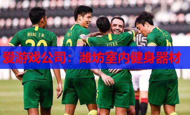 爱游戏公司：潍坊室内健身器材