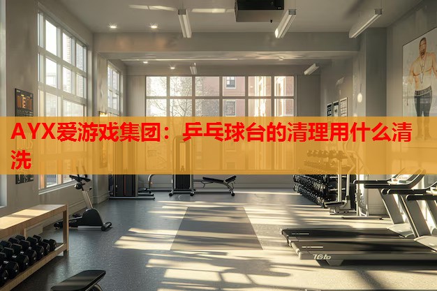 AYX爱游戏集团：乒乓球台的清理用什么清洗