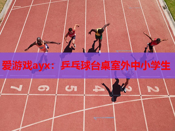 爱游戏ayx：乒乓球台桌室外中小学生