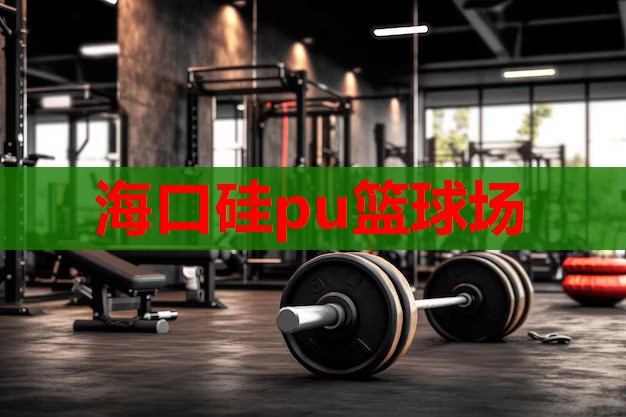 海口硅pu篮球场