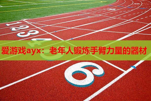 爱游戏ayx：老年人锻炼手臂力量的器材