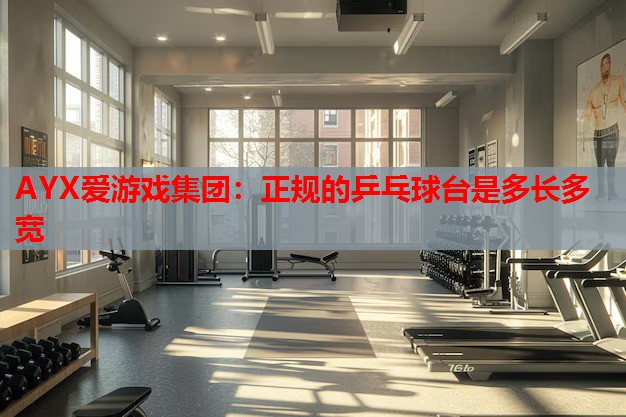 AYX爱游戏集团：正规的乒乓球台是多长多宽