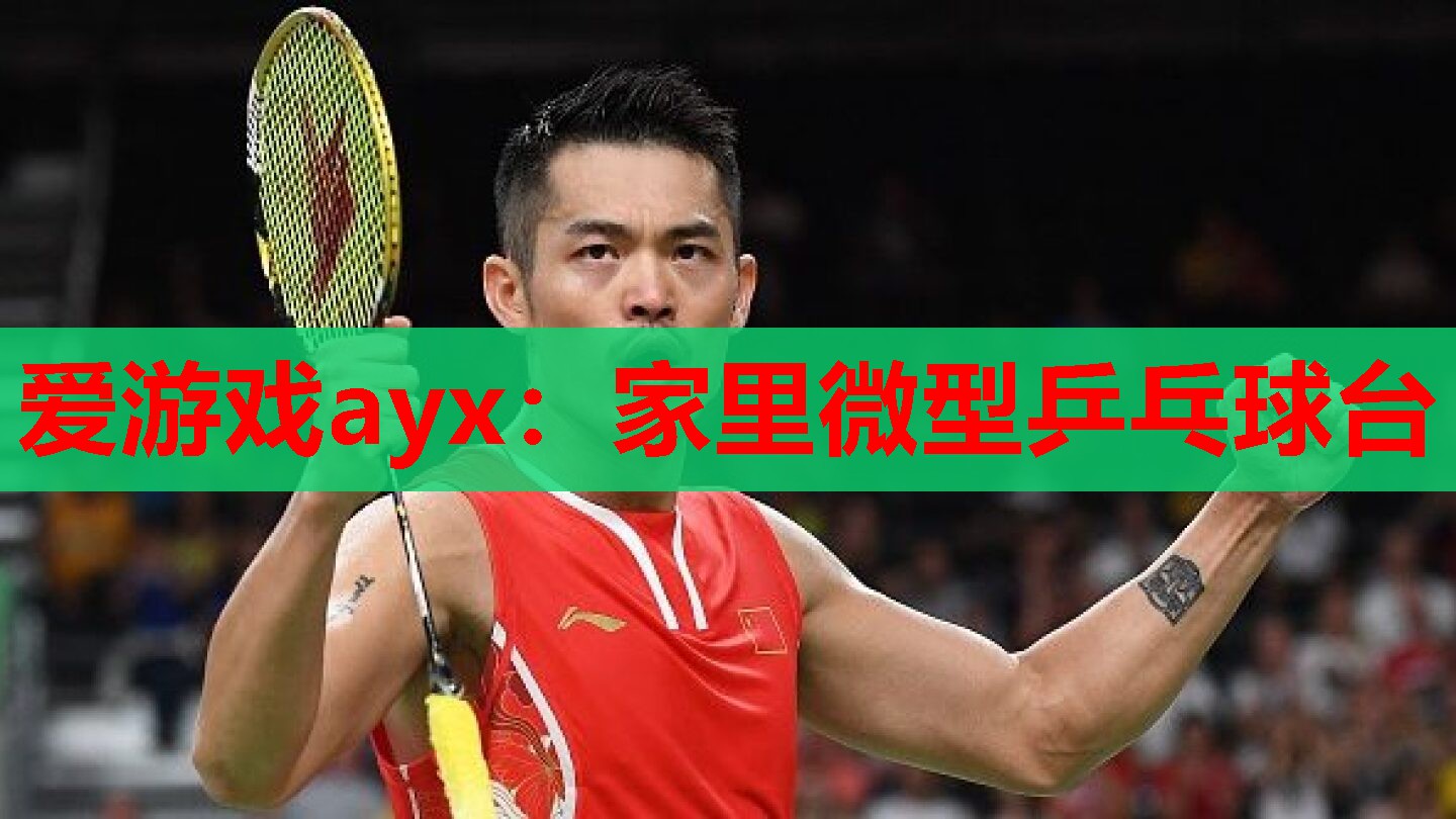 爱游戏ayx：家里微型乒乓球台
