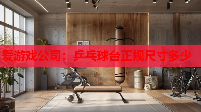 爱游戏公司：乒乓球台正规尺寸多少