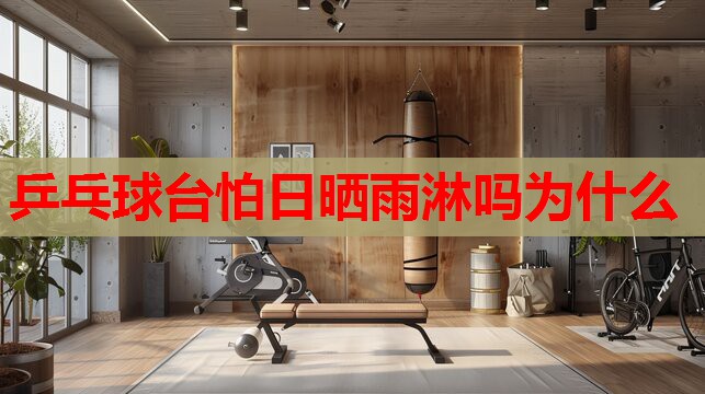 乒乓球台怕日晒雨淋吗为什么
