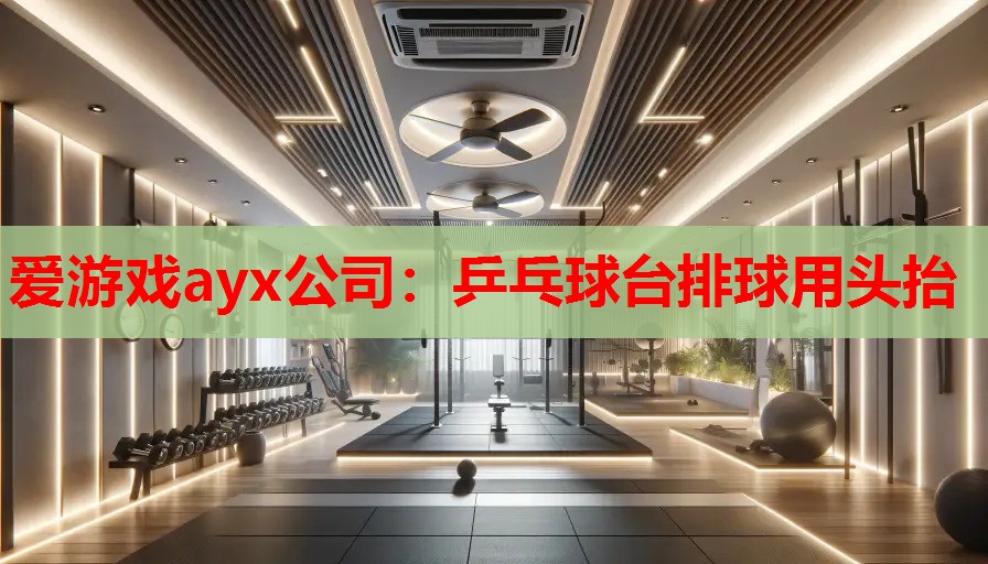 爱游戏ayx公司：乒乓球台排球用头抬