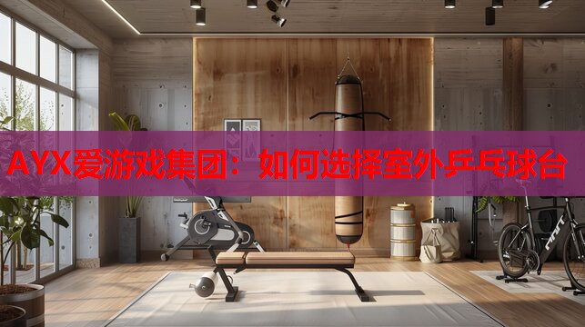 AYX爱游戏集团：如何选择室外乒乓球台