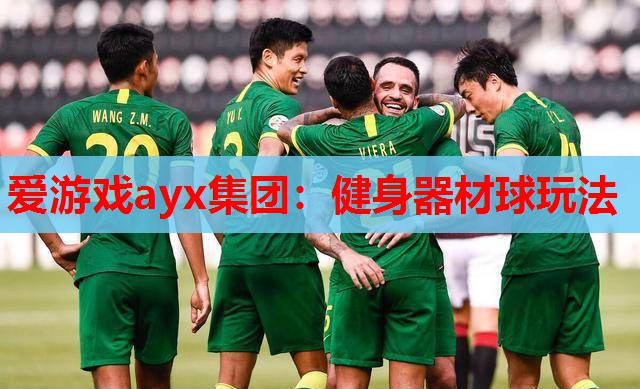 爱游戏ayx集团：健身器材球玩法