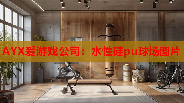AYX爱游戏公司：水性硅pu球场图片