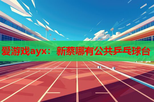 爱游戏ayx：新蔡哪有公共乒乓球台