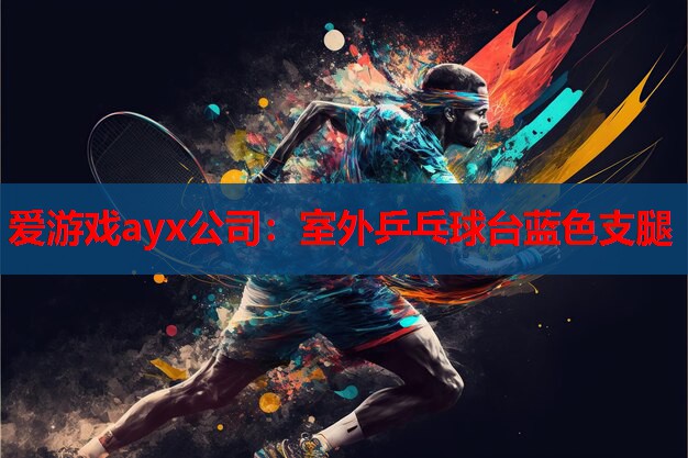 爱游戏ayx公司：室外乒乓球台蓝色支腿