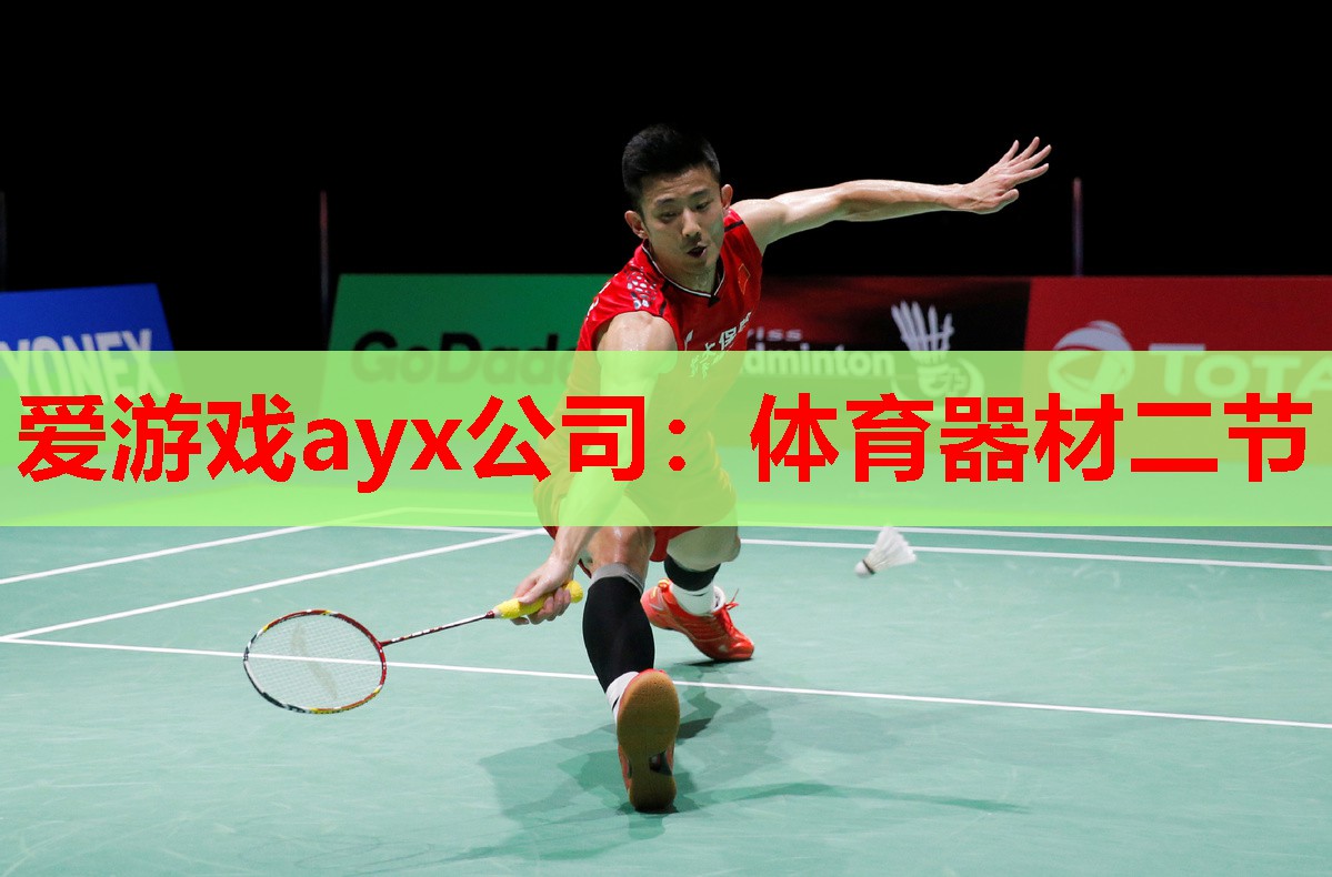 爱游戏ayx公司：体育器材二节