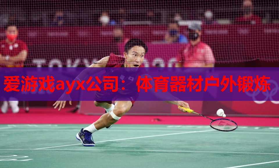 爱游戏ayx公司：体育器材户外锻炼