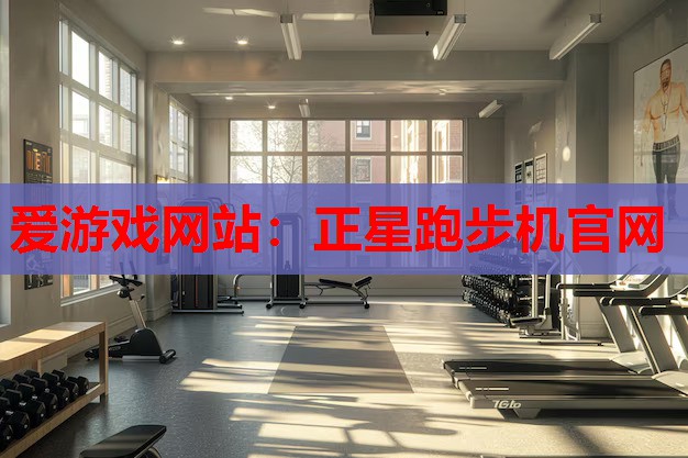 爱游戏网站：正星跑步机官网