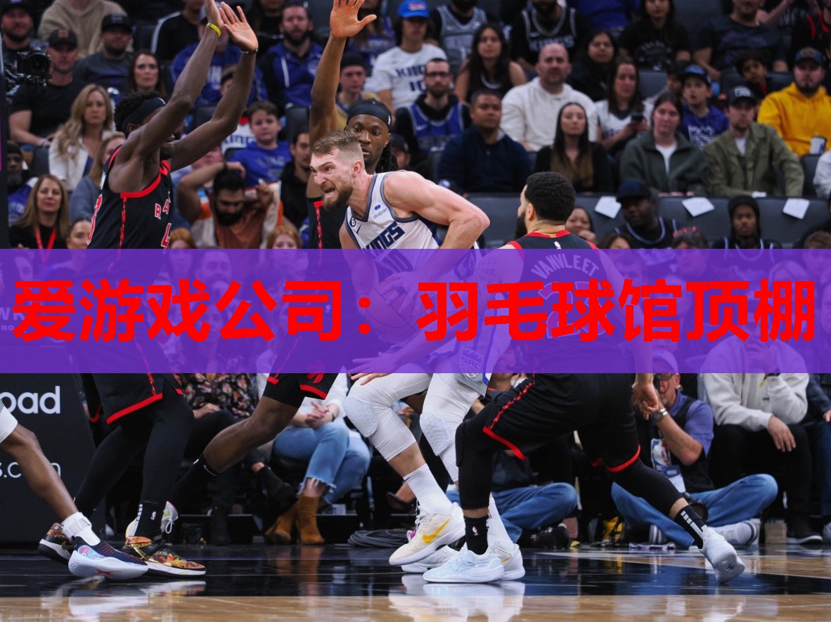 爱游戏公司：羽毛球馆顶棚