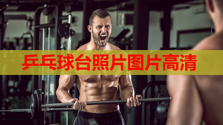 乒乓球台照片图片高清