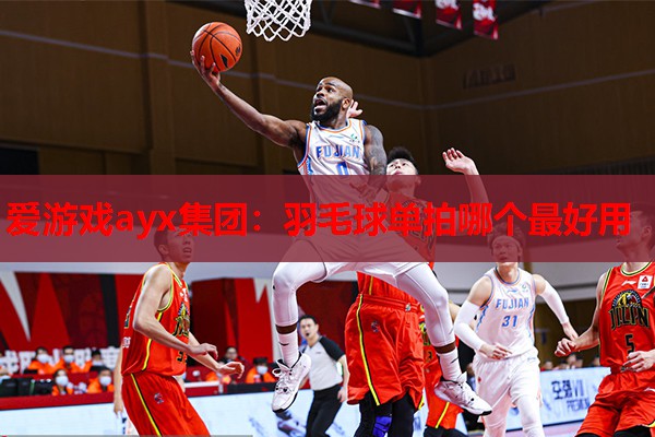 爱游戏ayx集团：羽毛球单拍哪个最好用