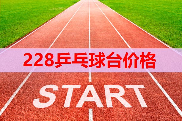 228乒乓球台价格