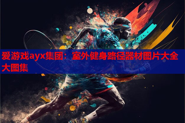 爱游戏ayx集团：室外健身路径器材图片大全大图集