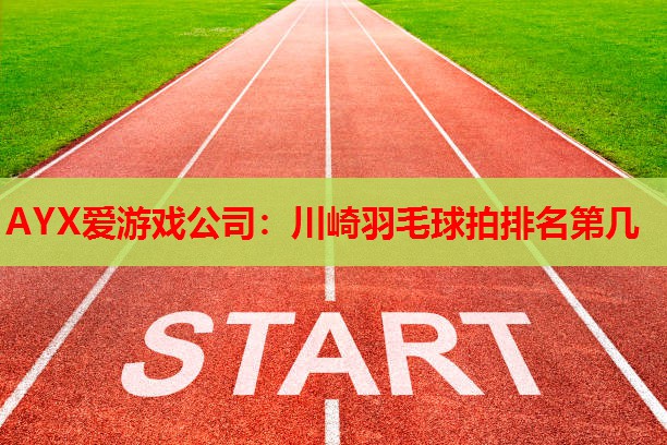 AYX爱游戏公司：川崎羽毛球拍排名第几