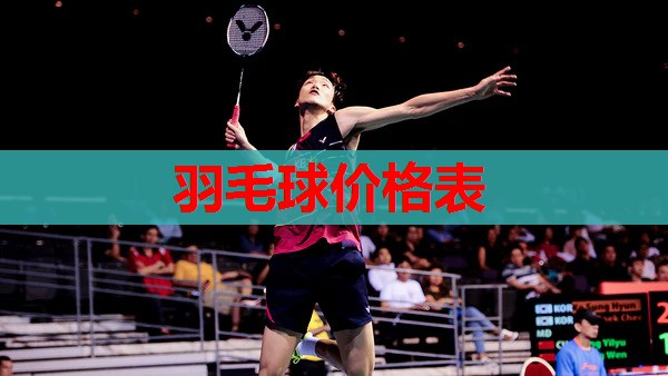 羽毛球价格表
