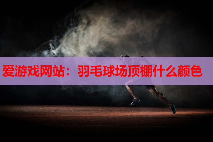 爱游戏网站：羽毛球场顶棚什么颜色