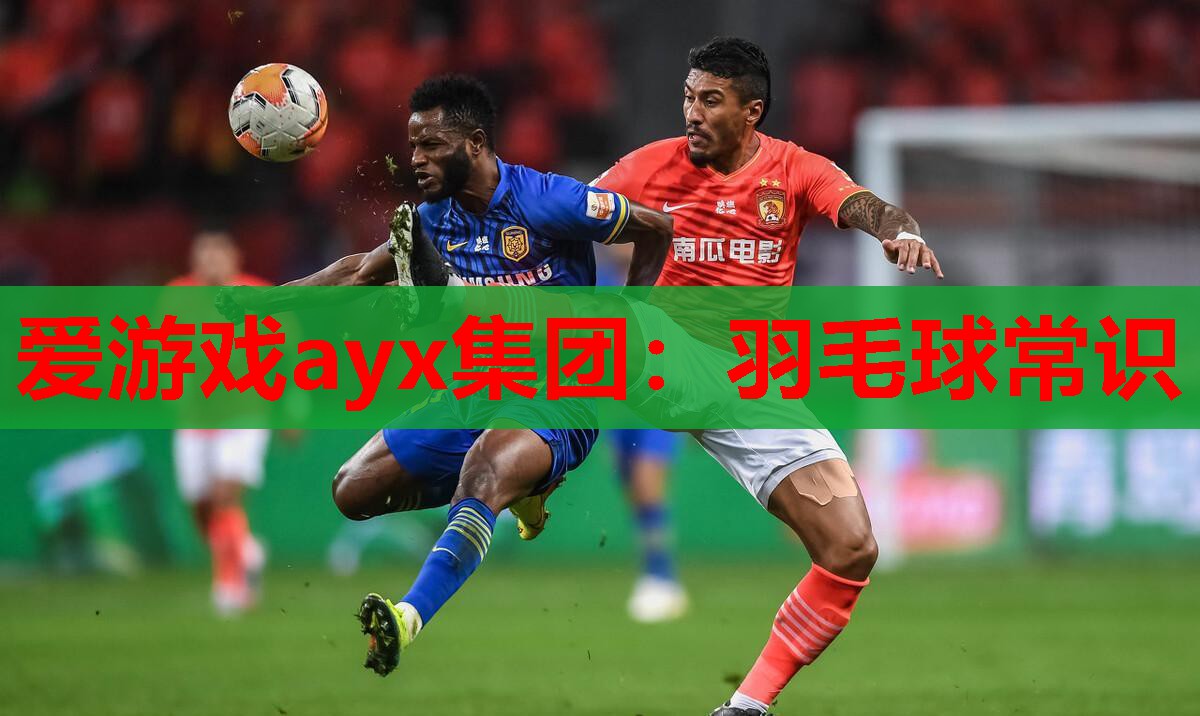 爱游戏ayx集团：羽毛球常识