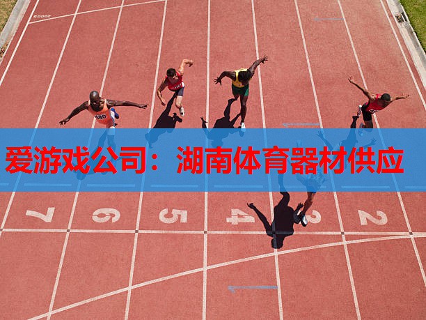 爱游戏公司：湖南体育器材供应
