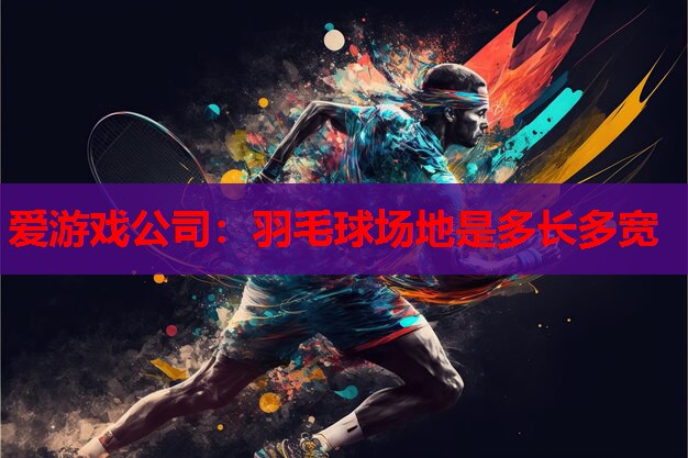 爱游戏公司：羽毛球场地是多长多宽