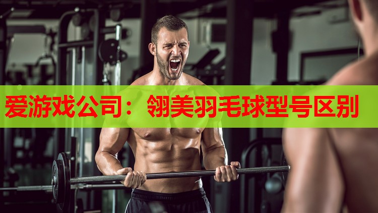 爱游戏公司：翎美羽毛球型号区别