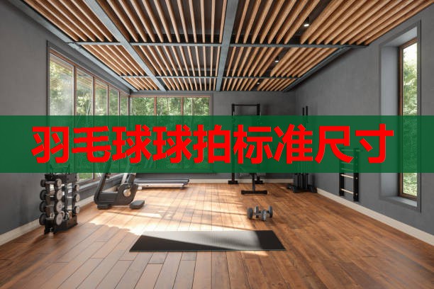 羽毛球球拍标准尺寸