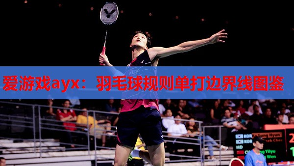 爱游戏ayx：羽毛球规则单打边界线图鉴