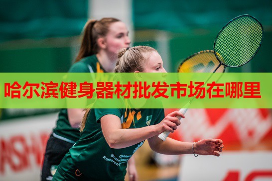 哈尔滨健身器材批发市场在哪里