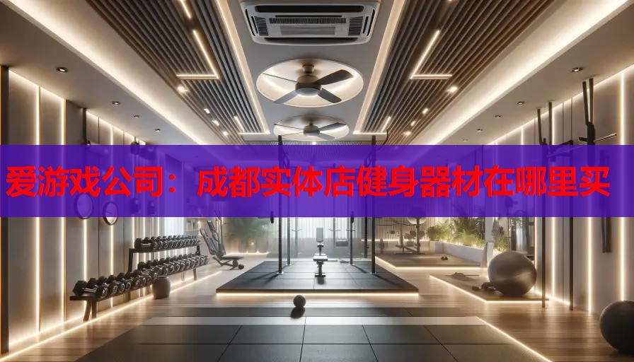 爱游戏公司：成都实体店健身器材在哪里买