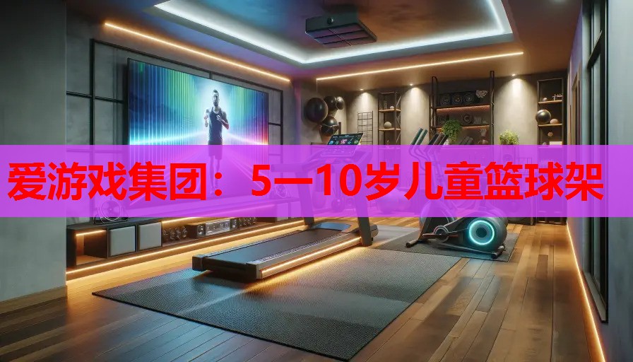爱游戏集团：5一10岁儿童篮球架